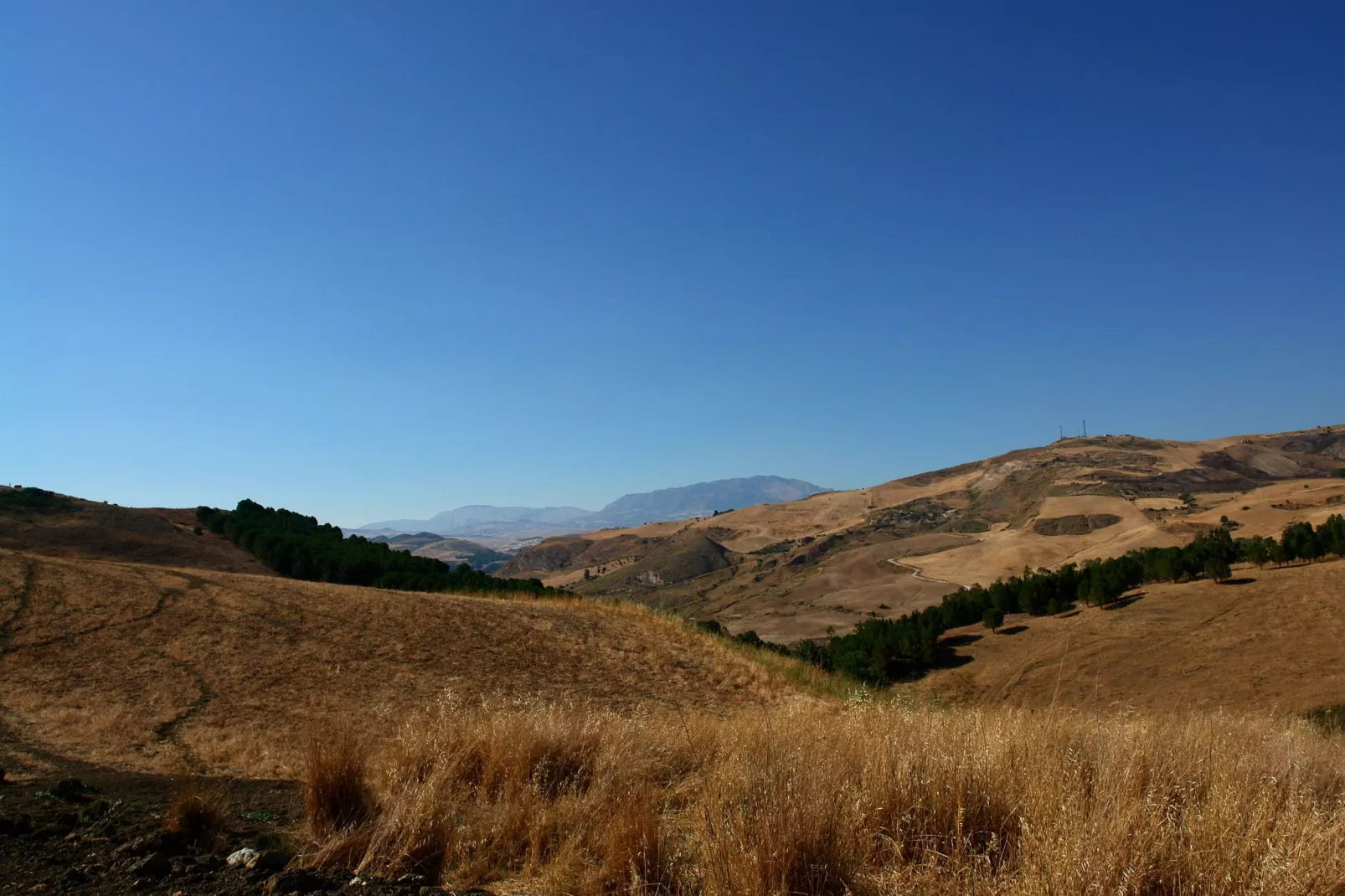 Echifaldo-Areas summer 20km