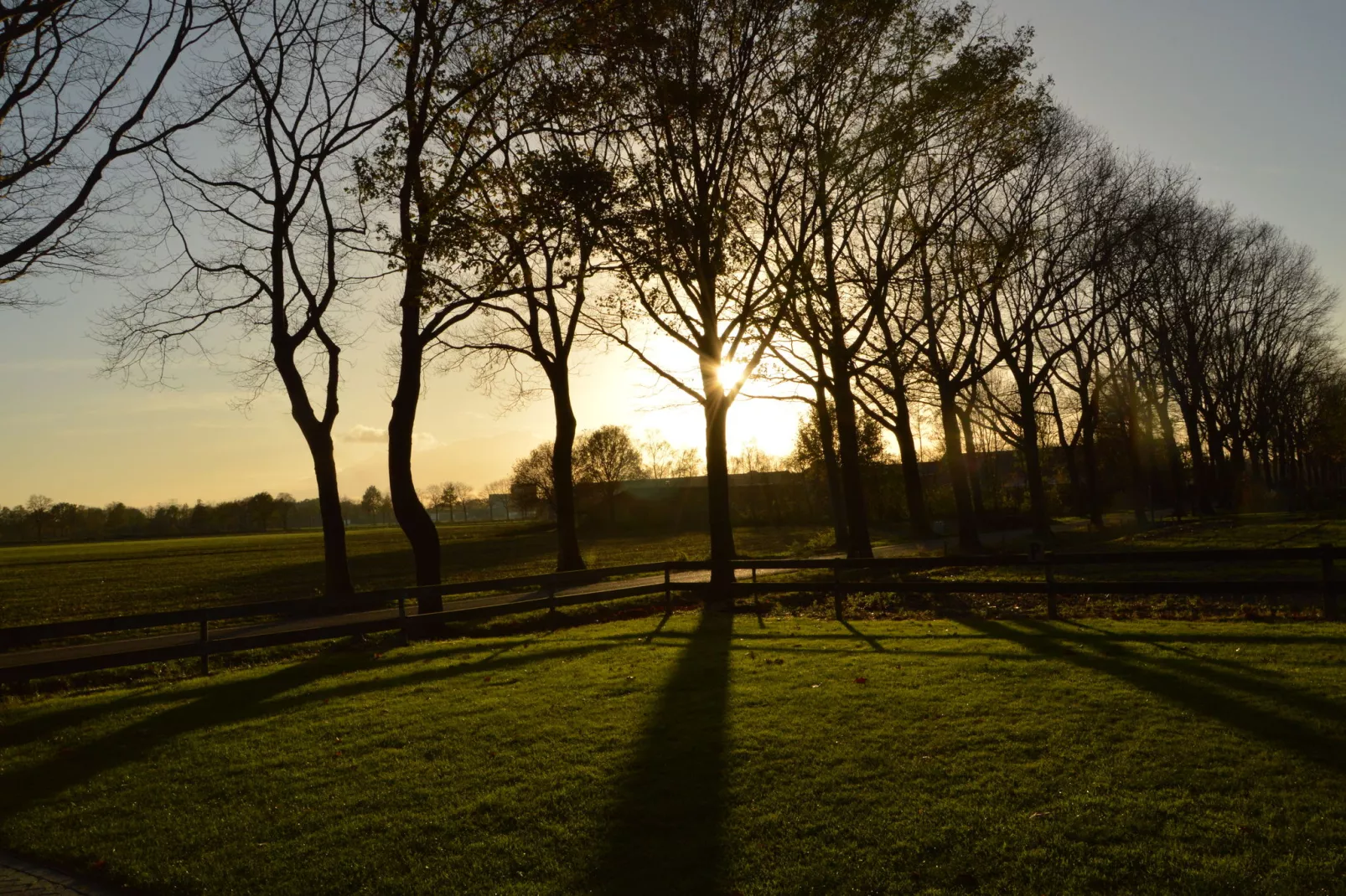 Vakantieboerderij de open schuur-View summer