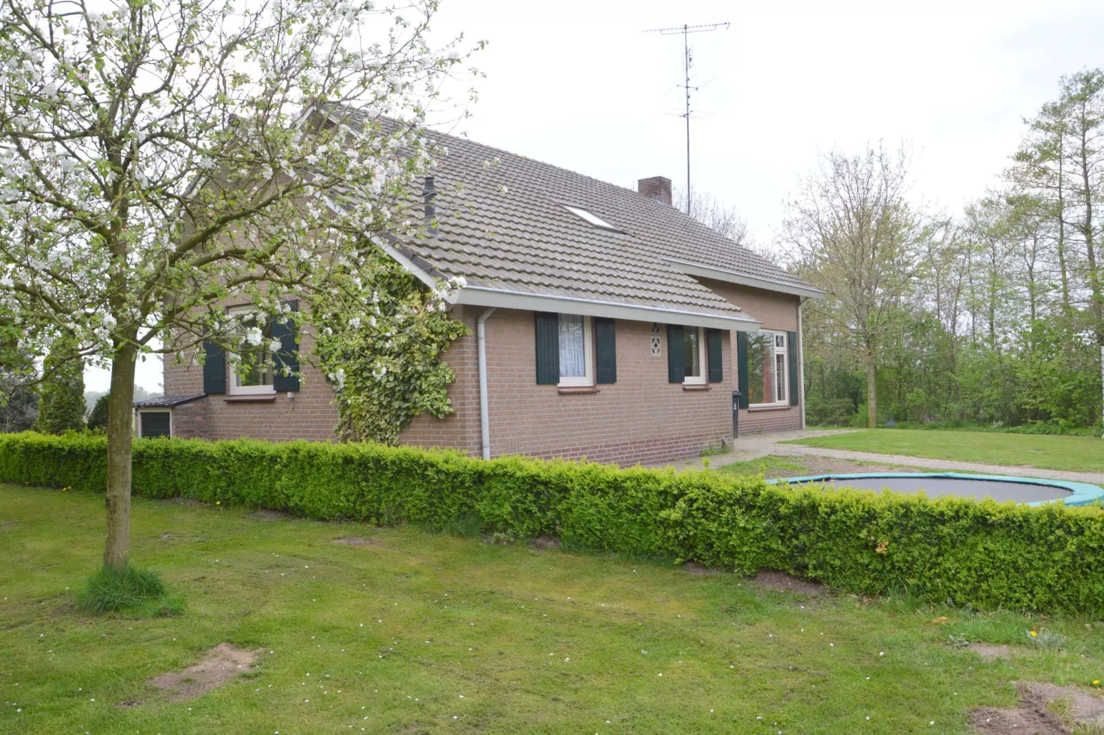 Paradiso-Exterior in summer