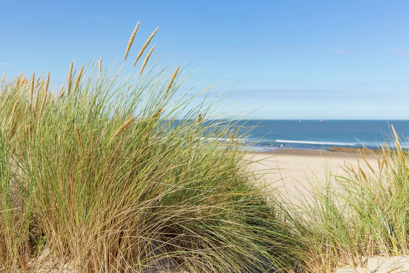 Vakantiepark Boomhiemke 6-Areas summer 5km