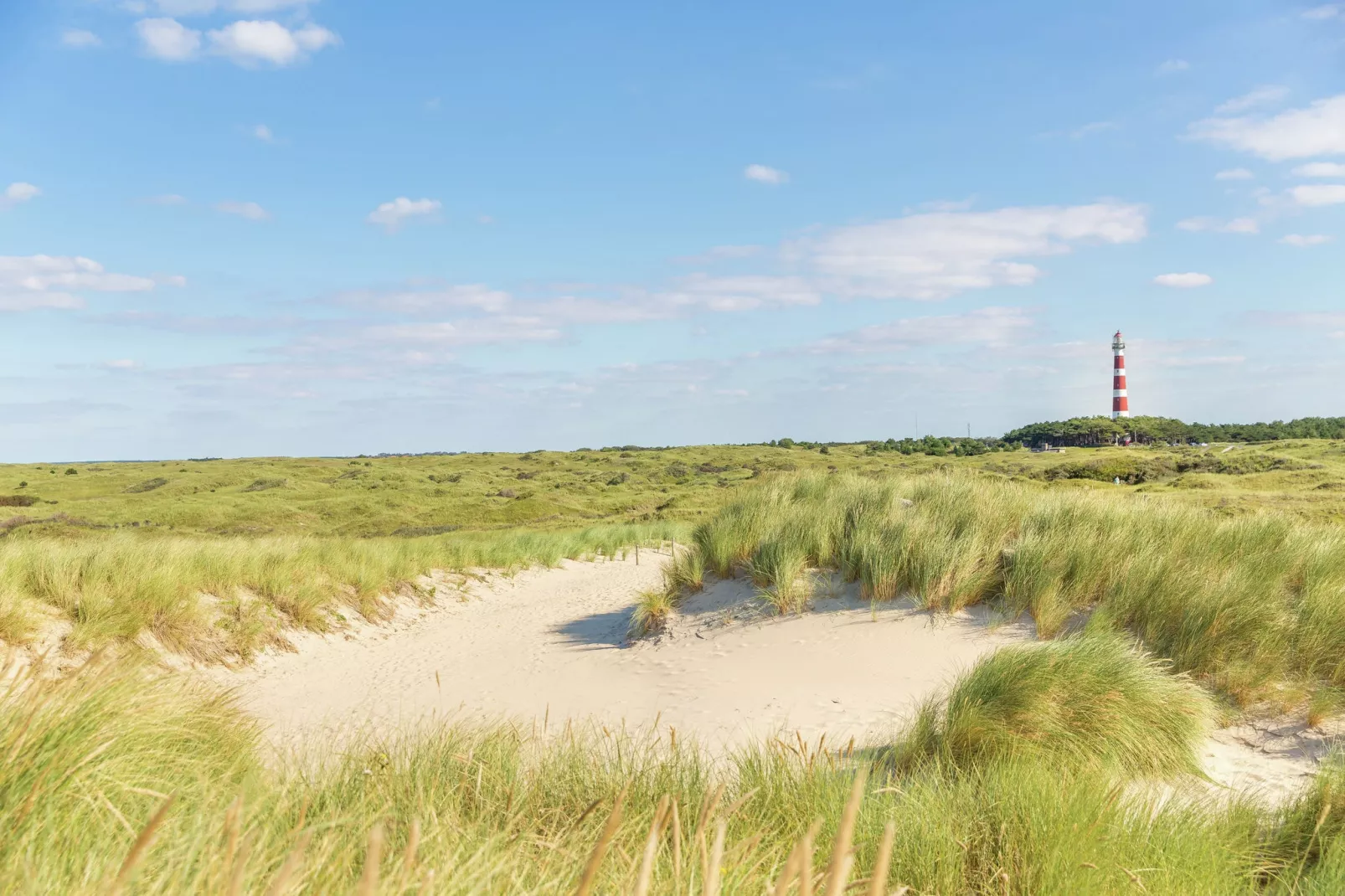 Vakantiepark Boomhiemke 6-Areas summer 5km