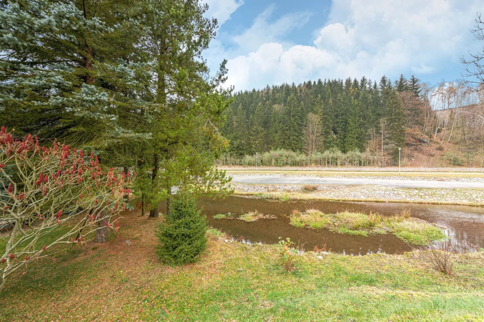 Ferienwohnung an der Talsperre Rauschenbach-View summer