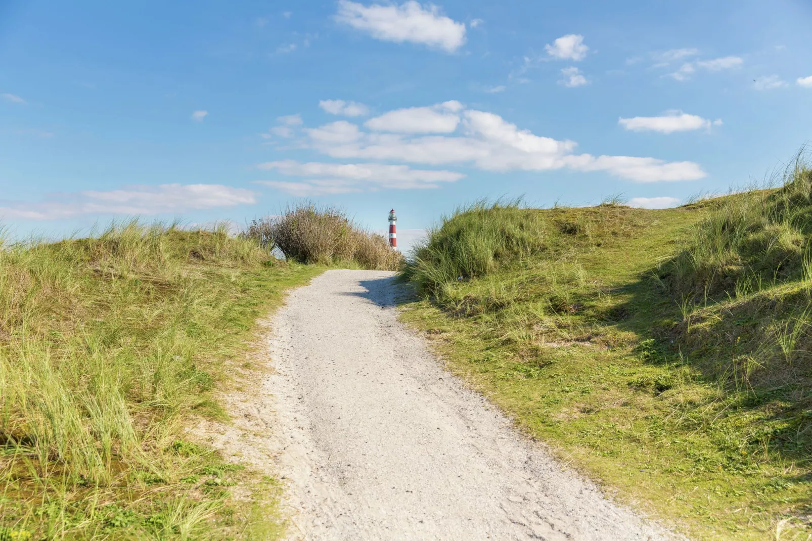 Vakantiepark Boomhiemke 6-Areas summer 5km