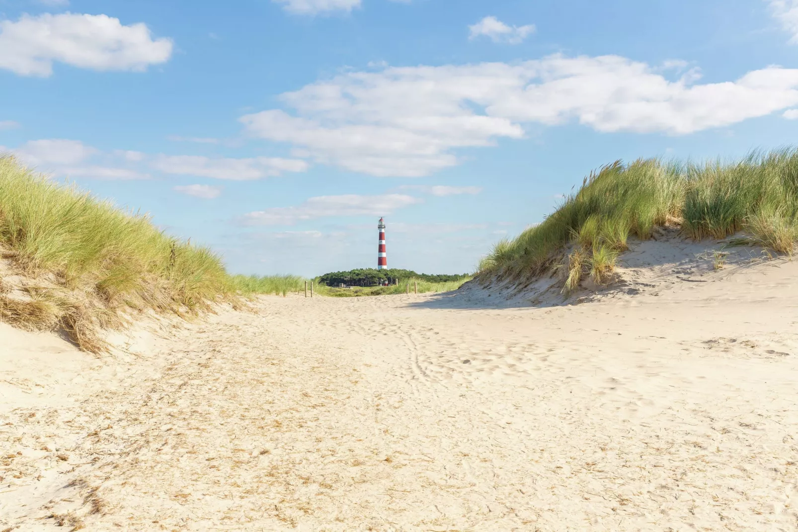 Vakantiepark Boomhiemke 6-Areas summer 5km