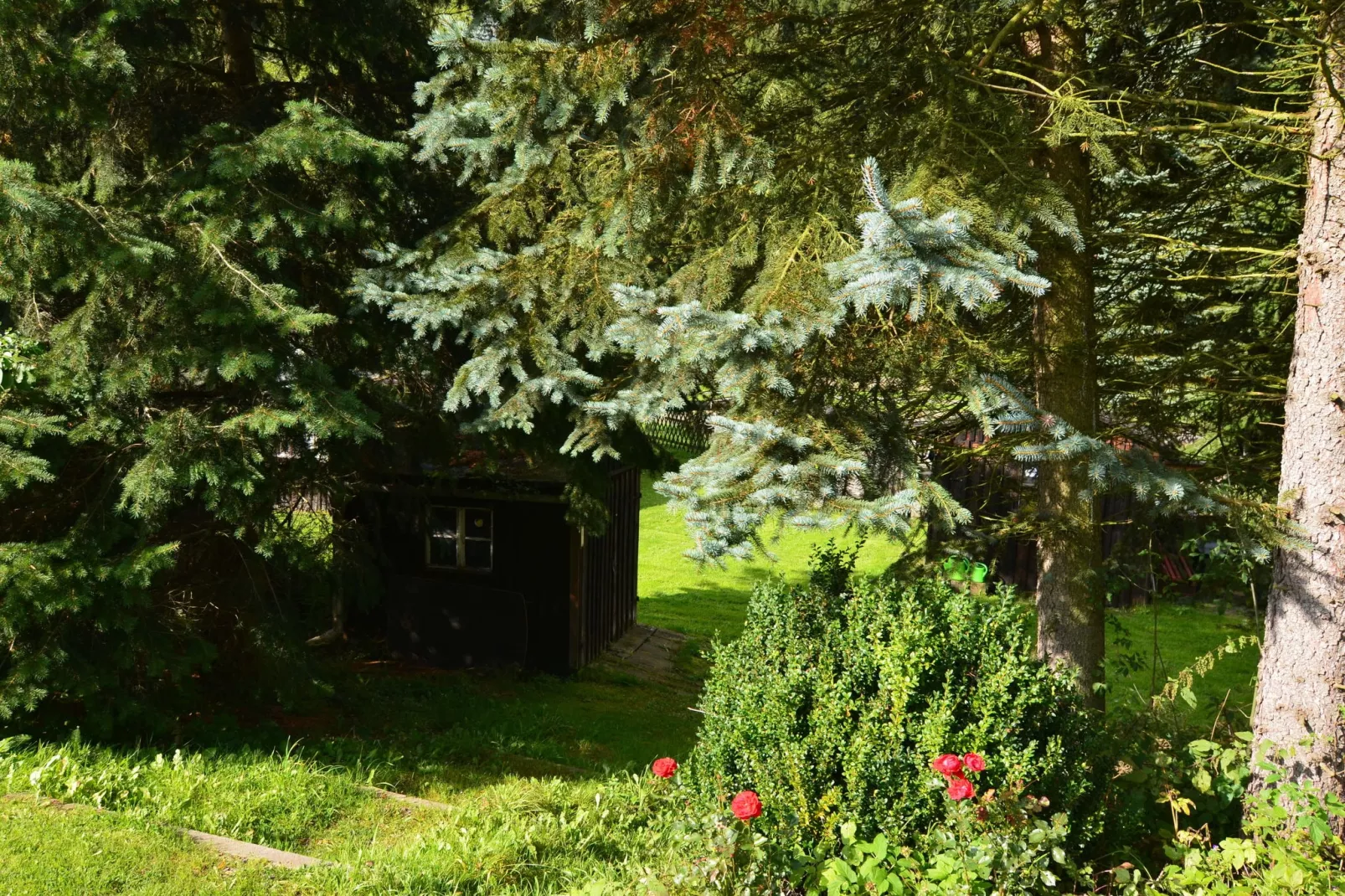 Ferienwohnung an der Talsperre Rauschenbach-Gardens in summer