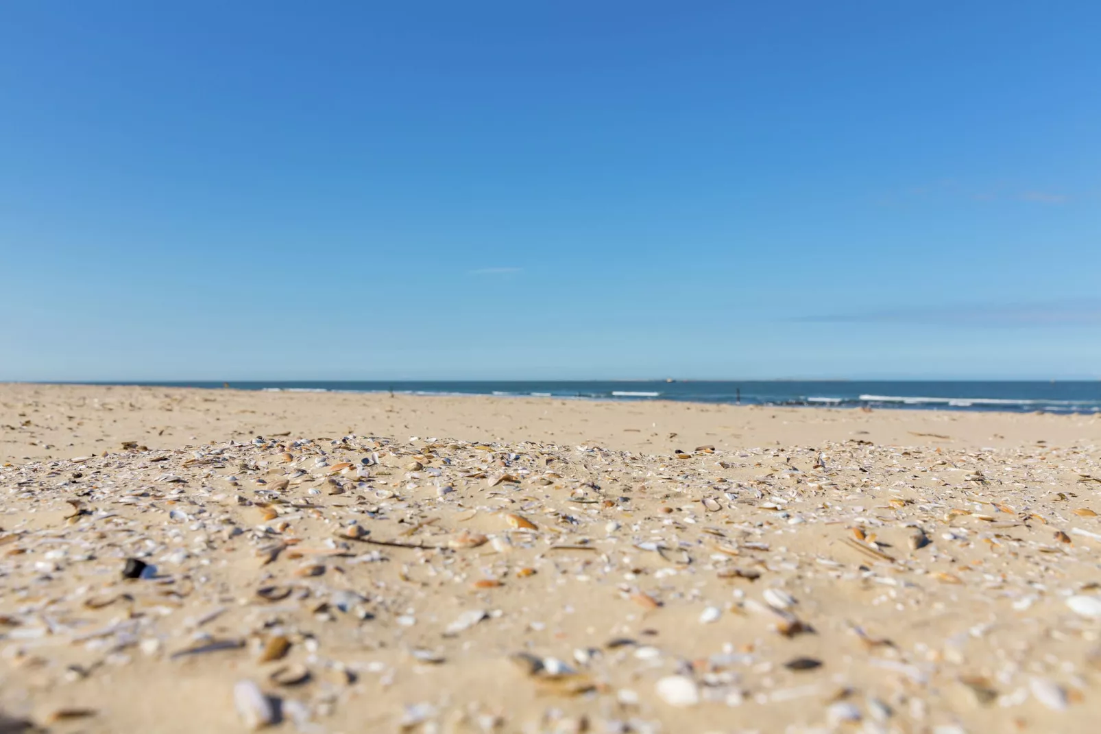 Vakantiepark Boomhiemke 7-Areas summer 5km