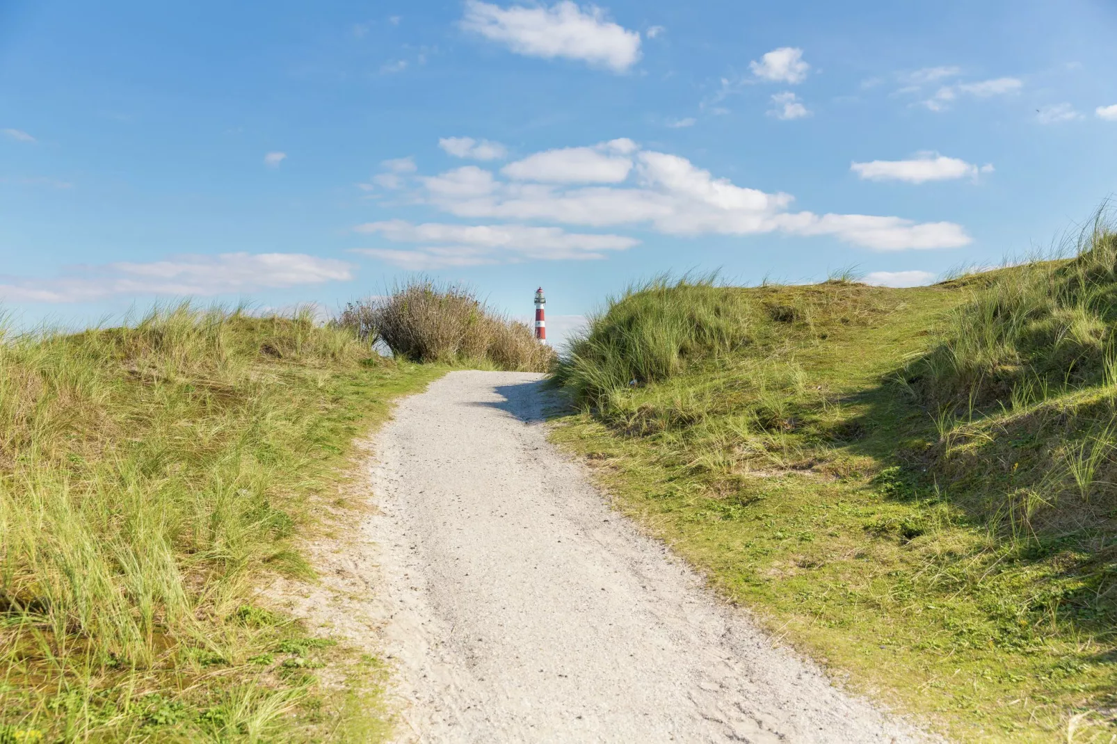 Vakantiepark Boomhiemke 7-Areas summer 5km