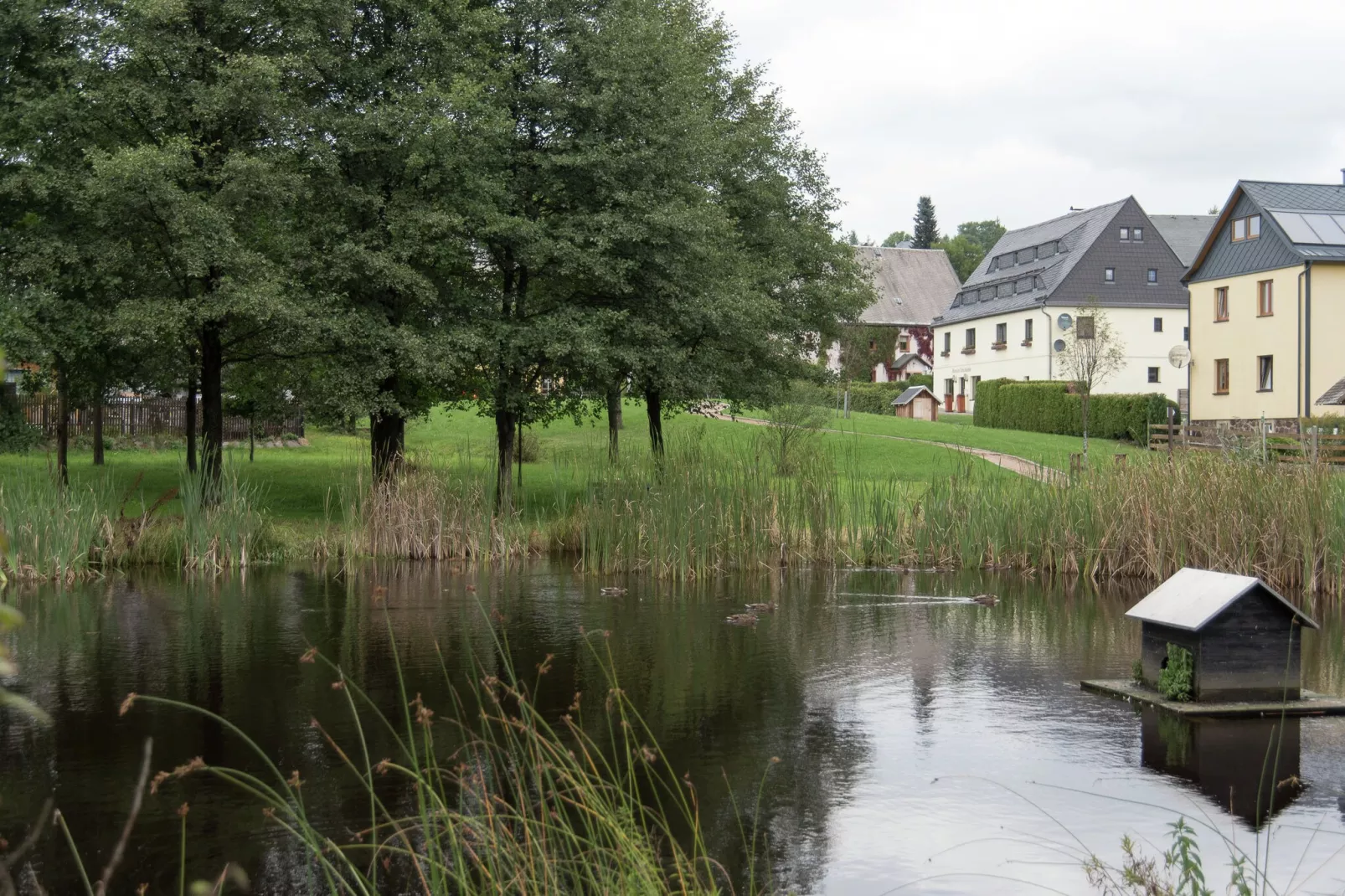 Sachsen-Areas summer 1km