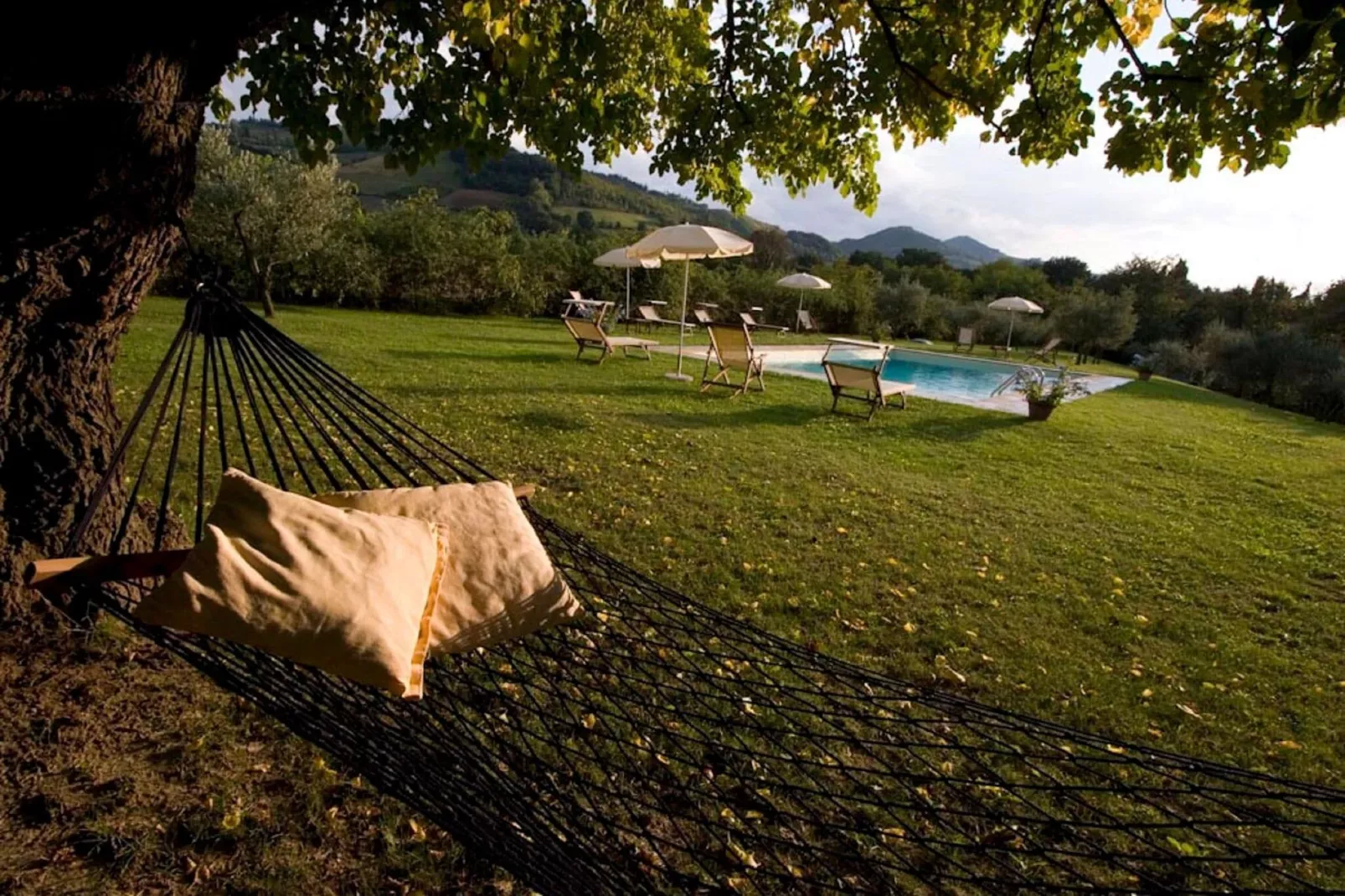 Ovello-Gardens summer