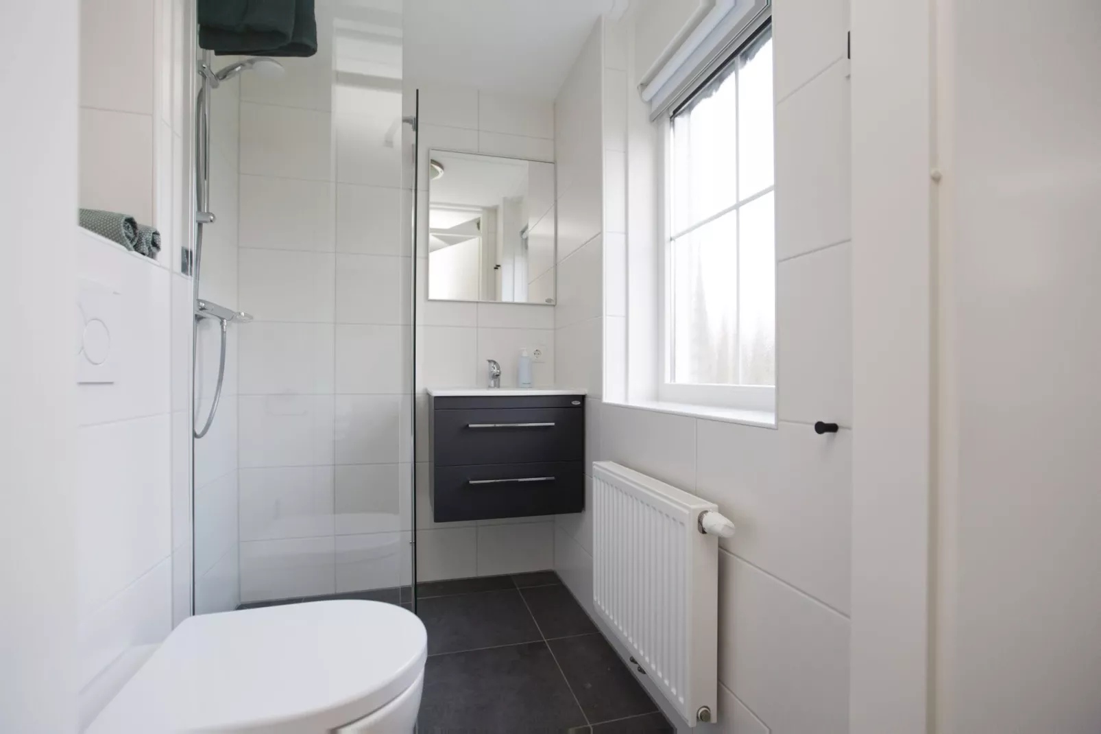 Landgoed De IJsvogel 9-Bathroom