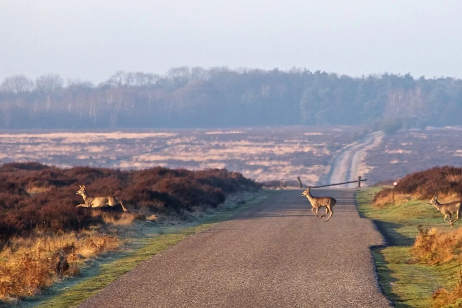 Landgoed De IJsvogel 9-Areas summer 5km