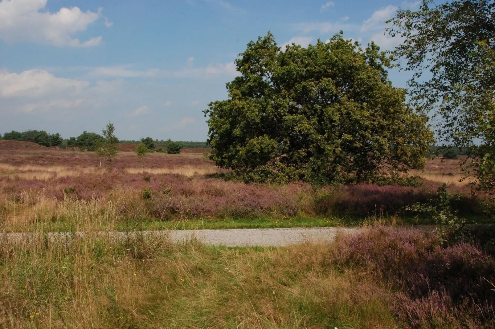 Landgoed De IJsvogel 9-Areas summer 5km