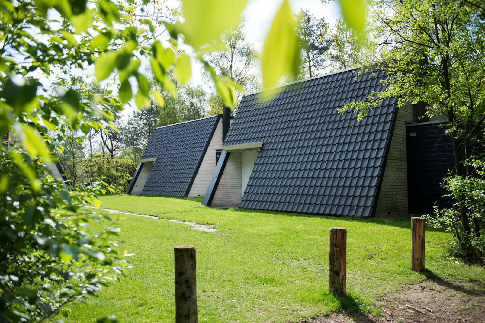 Bungalowpark Hoenderloo 5-Exterior summer