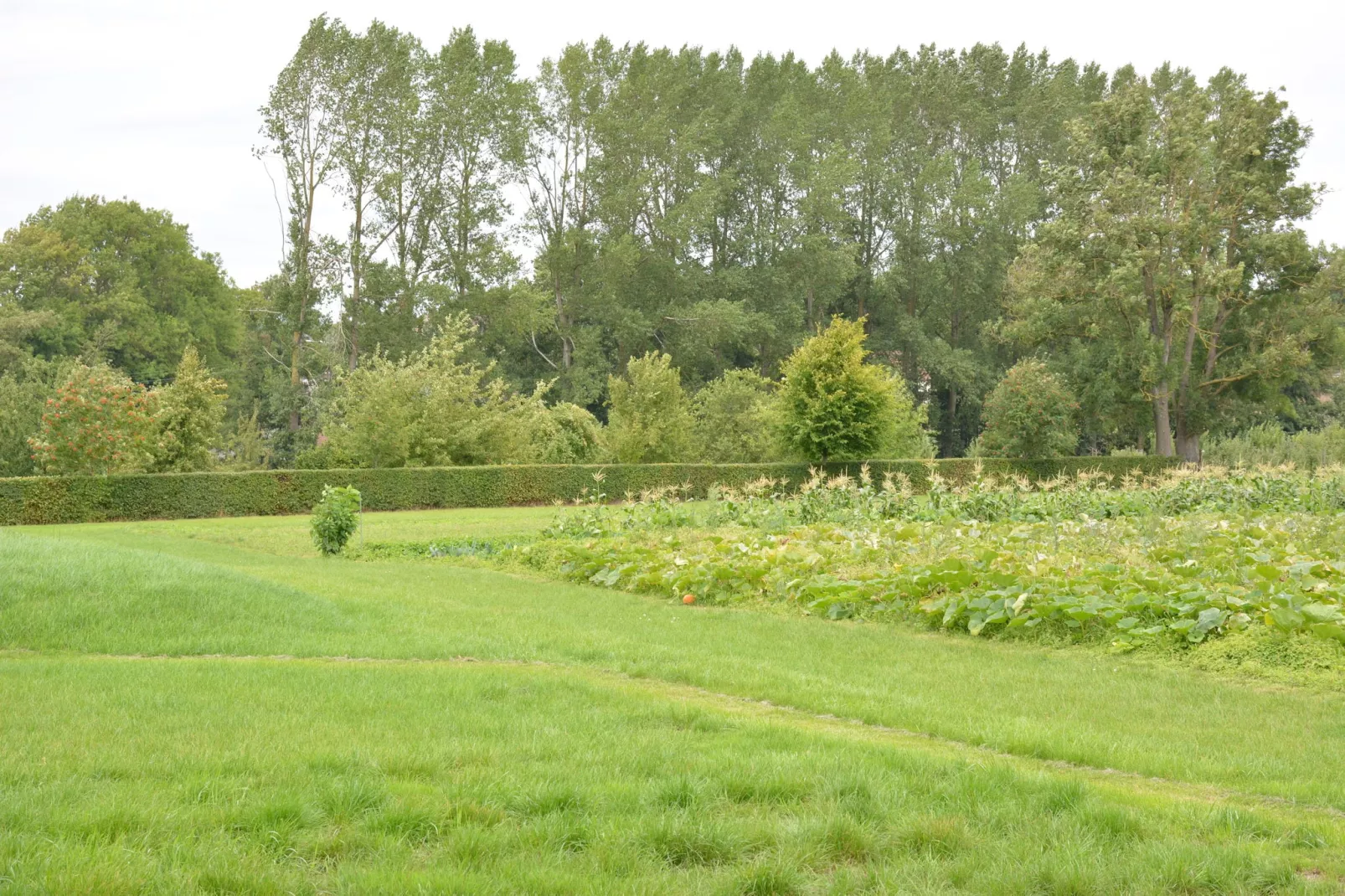 La Ferme Sainte-Adèle-Gardens summer