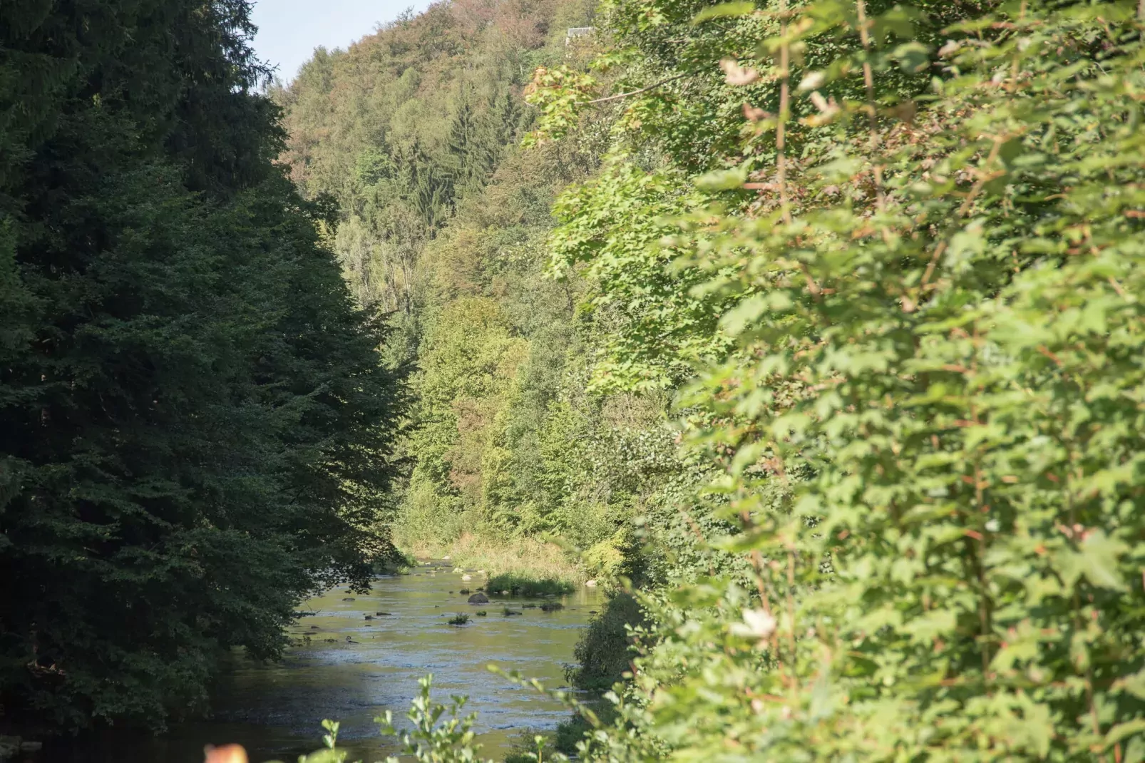 Ferienhaus Oederan-Areas summer 5km