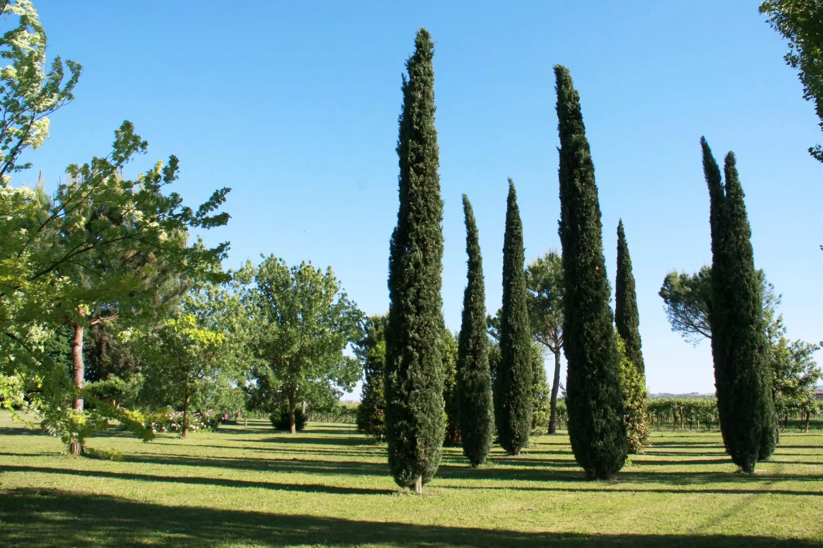Villa La Commenda Sei-Gardens summer