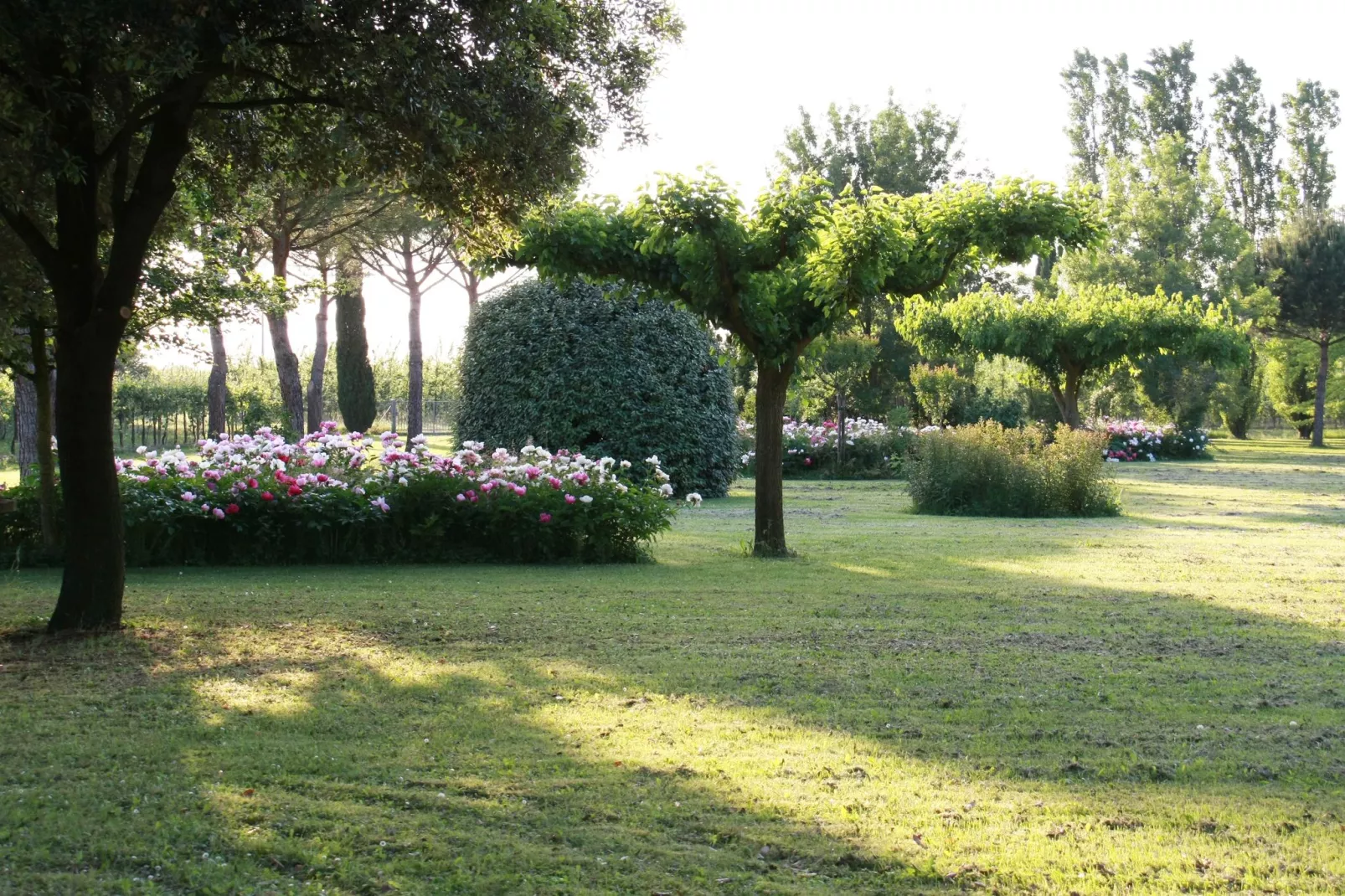 Villa La Commenda Sei-Gardens summer