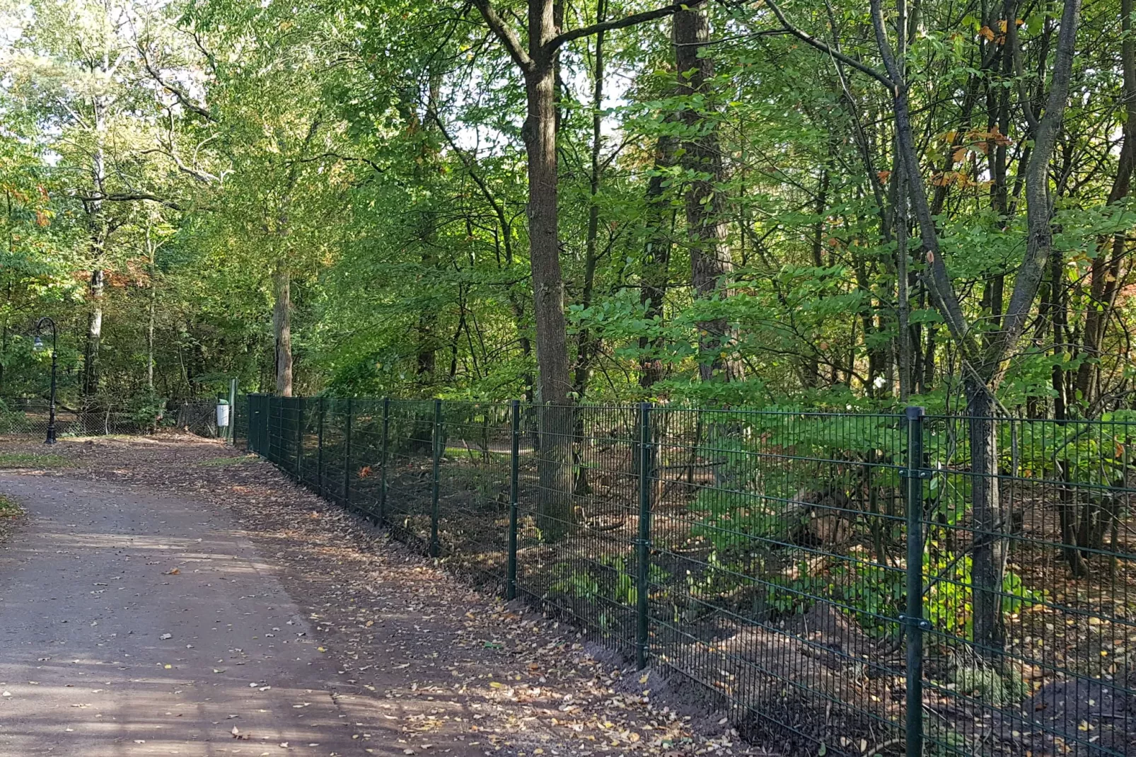 Vakantiepark De Rimboe & De Woeste Hoogte 1-View summer