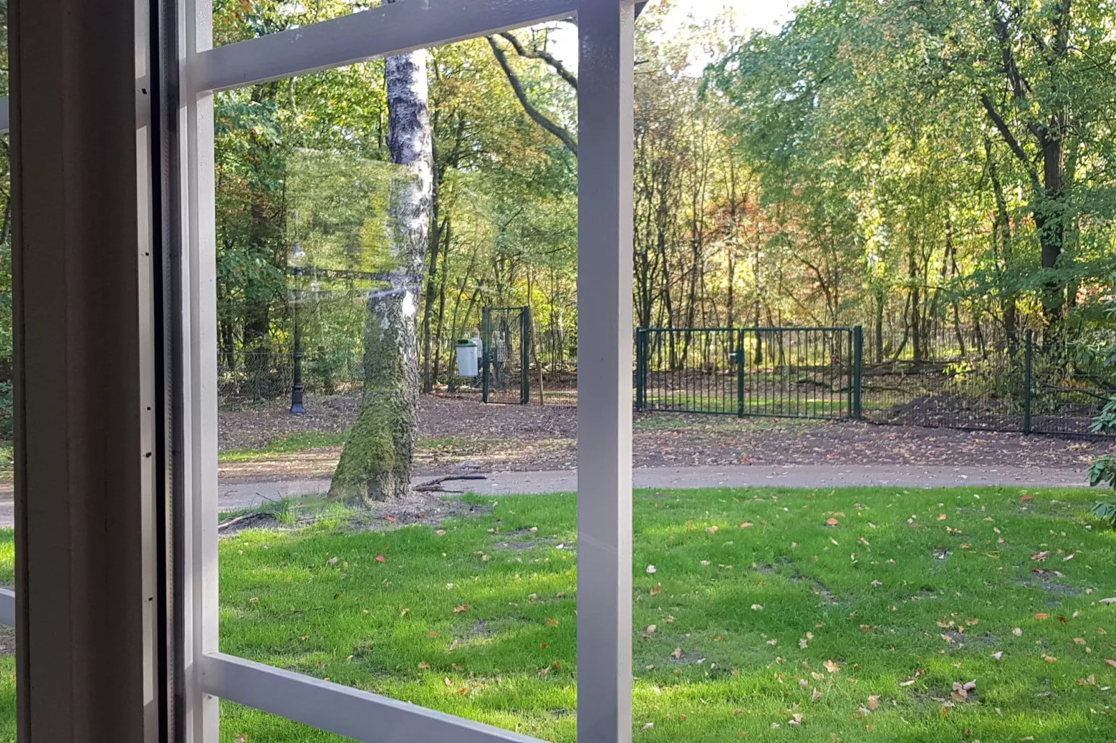 Vakantiepark De Rimboe & De Woeste Hoogte 1-View summer