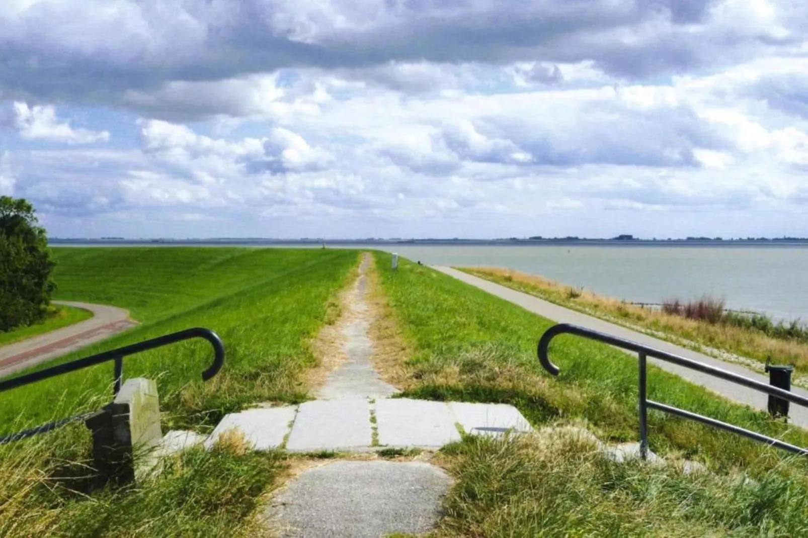 Scheldeoord 97-Areas summer 1km