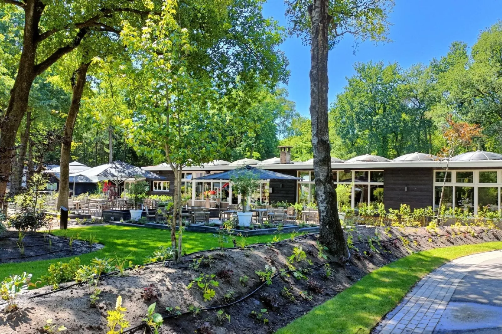 Vakantiepark De Rimboe & De Woeste Hoogte 1-Park facilities