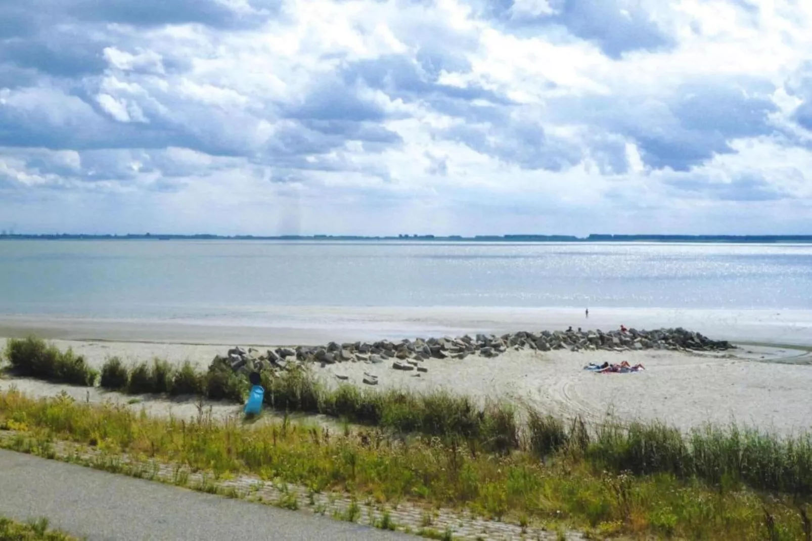 Scheldeoord 97-Areas summer 1km