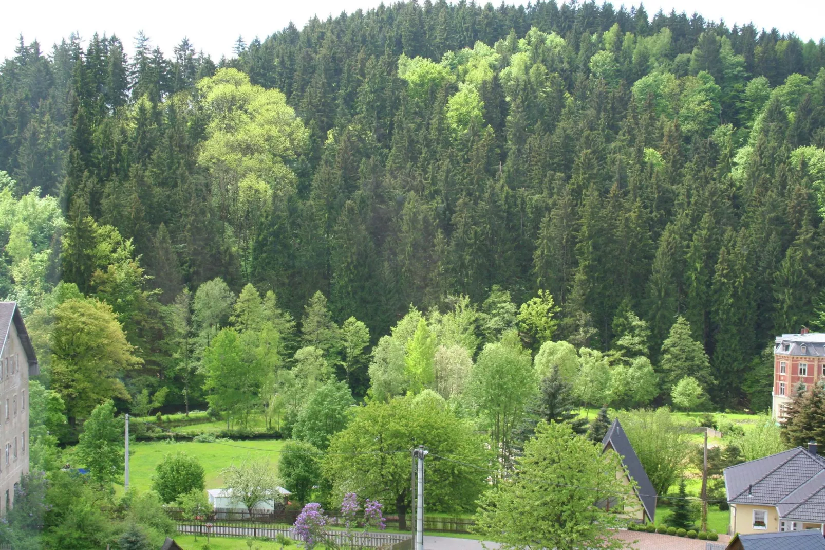 Villa im Erzgebirge-View in summer
