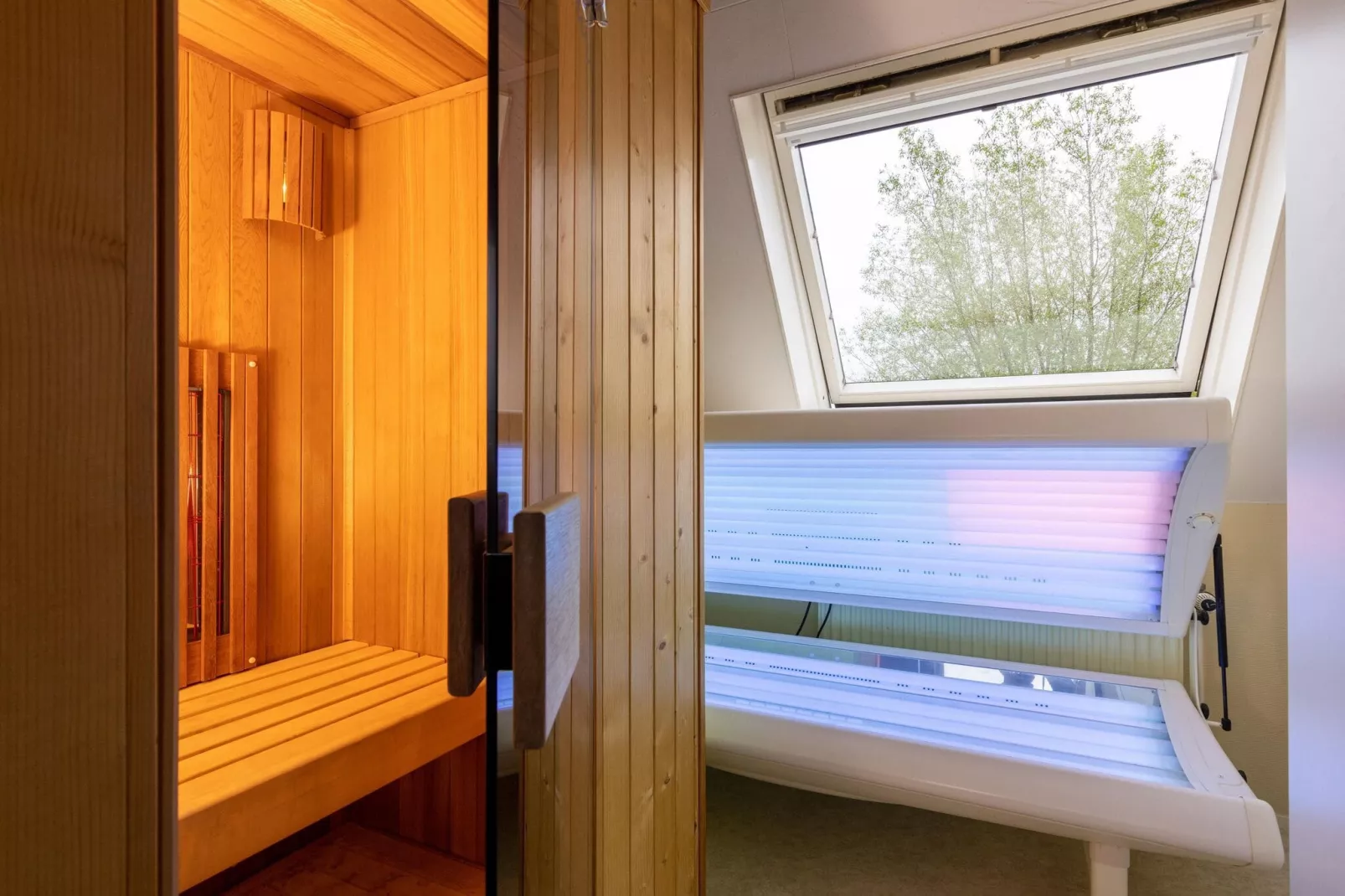 Buitenplaats It Wiid 1-Wellness