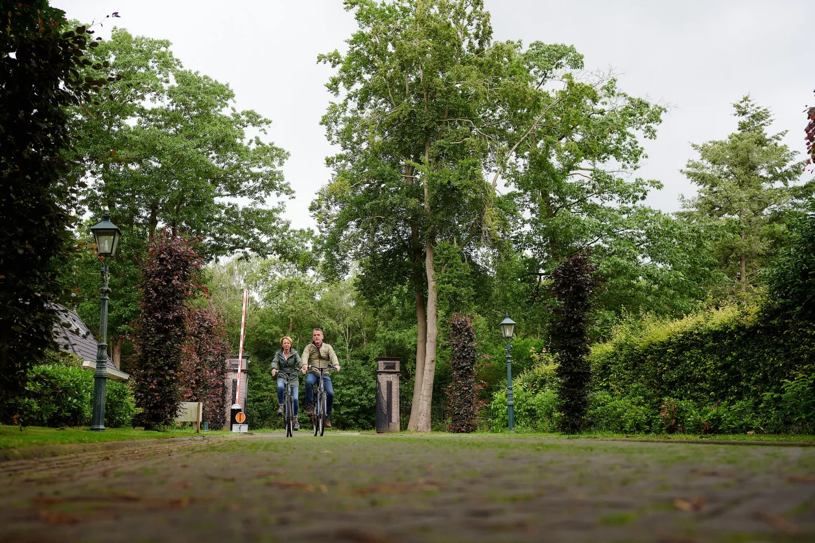 Landgoed De IJsvogel 11-Gebiete Sommer 1 km