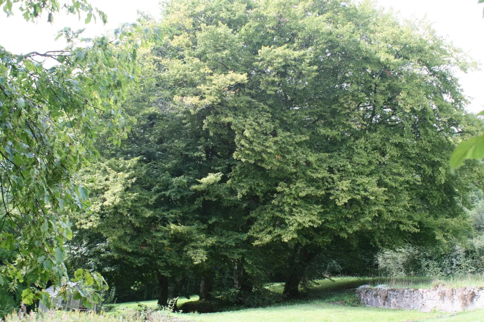 Maison de la Molignée-Areas summer 1km