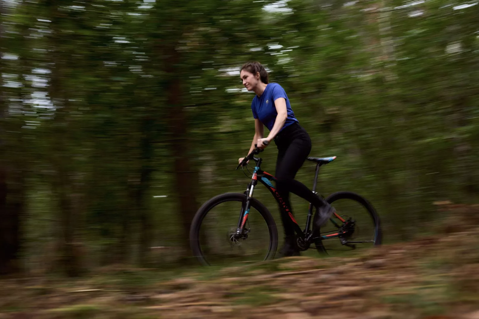 Landgoed De IJsvogel 11-Gebiete Sommer 5 km