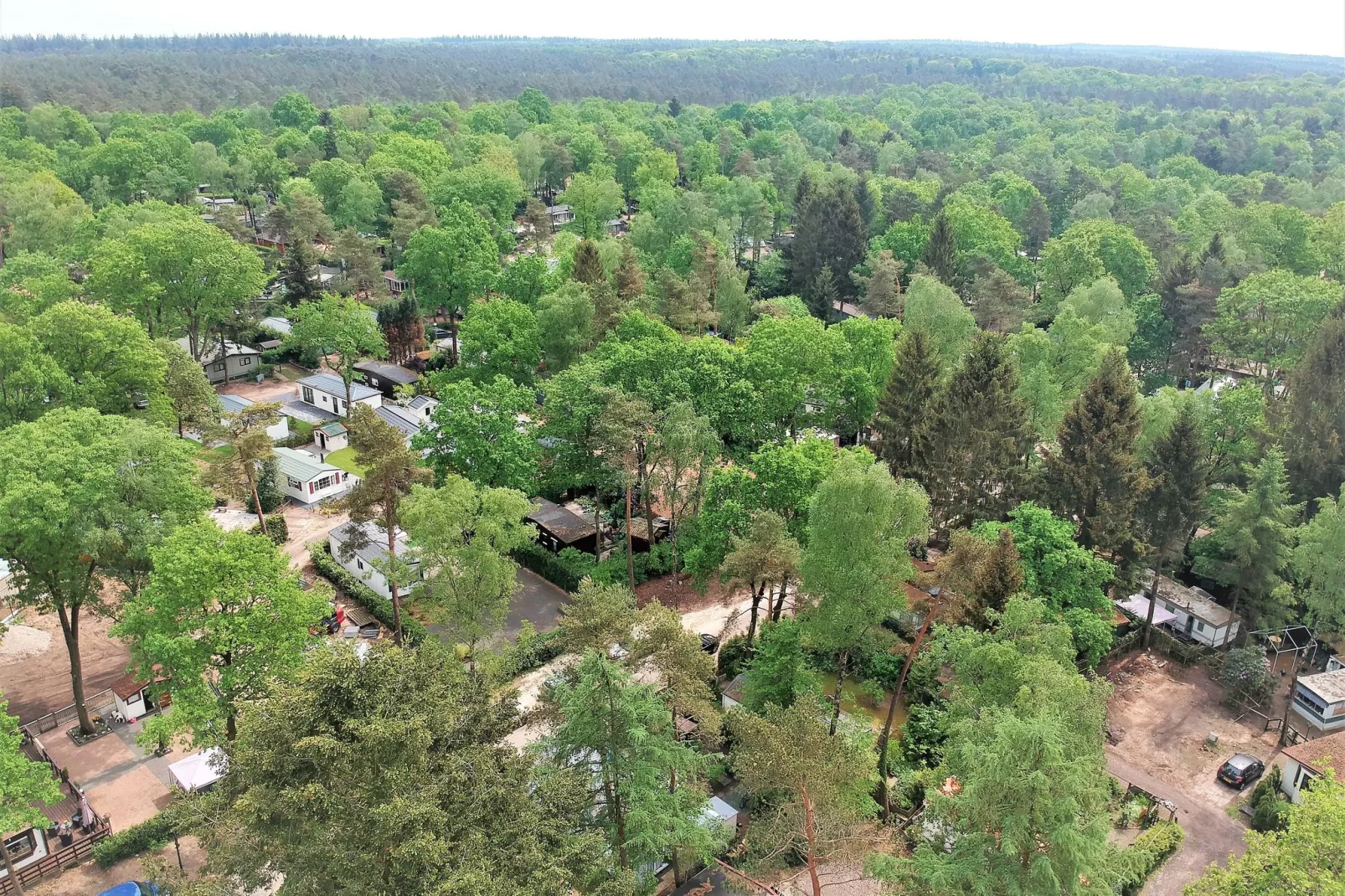 Vakantiepark De Rimboe & De Woeste Hoogte 2-Areas summer 1km