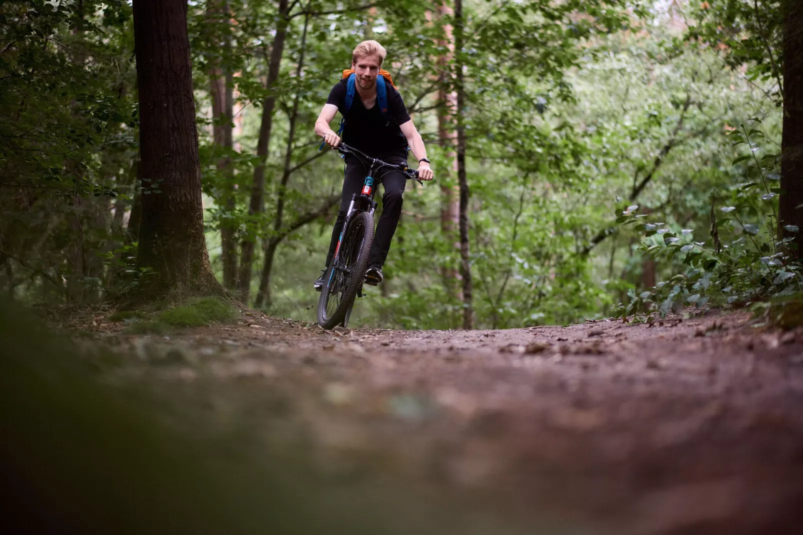 Landgoed De IJsvogel 11-Gebiete Sommer 5 km