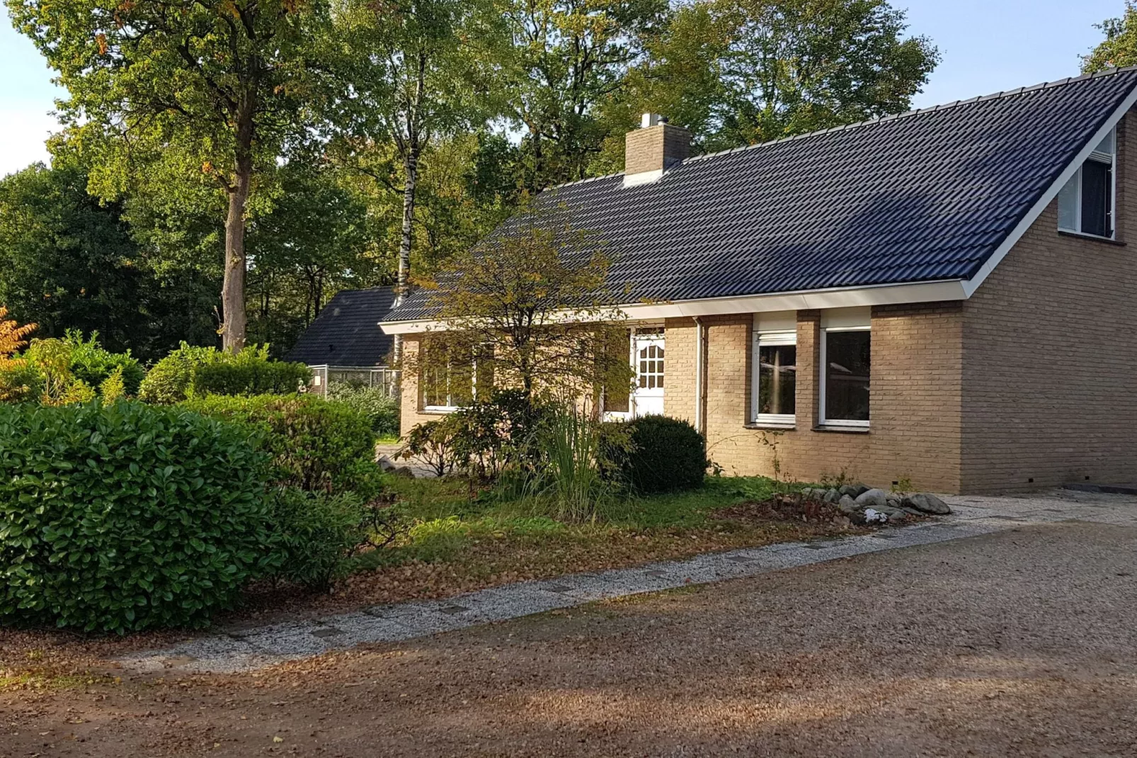 Vakantiepark De Rimboe & De Woeste Hoogte 3-Außenbereich Sommer