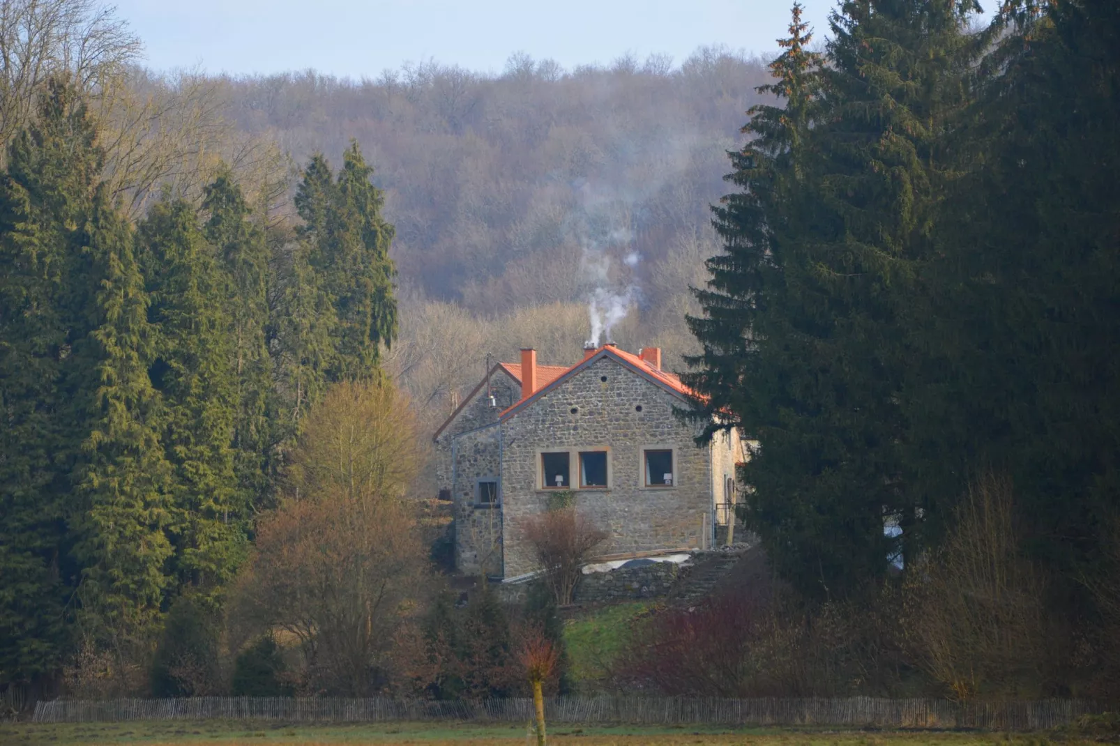 Vue sur le Chateau de Montaigle-Außenbereich Sommer