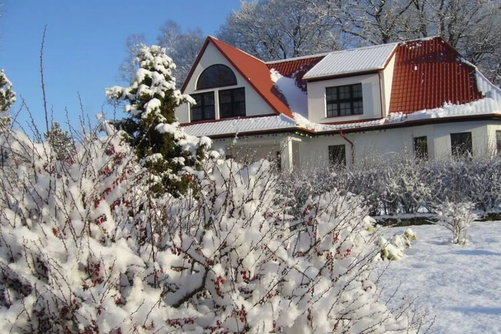 Willa wakacyjna dla 9 osób 182 m2 Knieja koło Polanowa-Jardin d'hiver