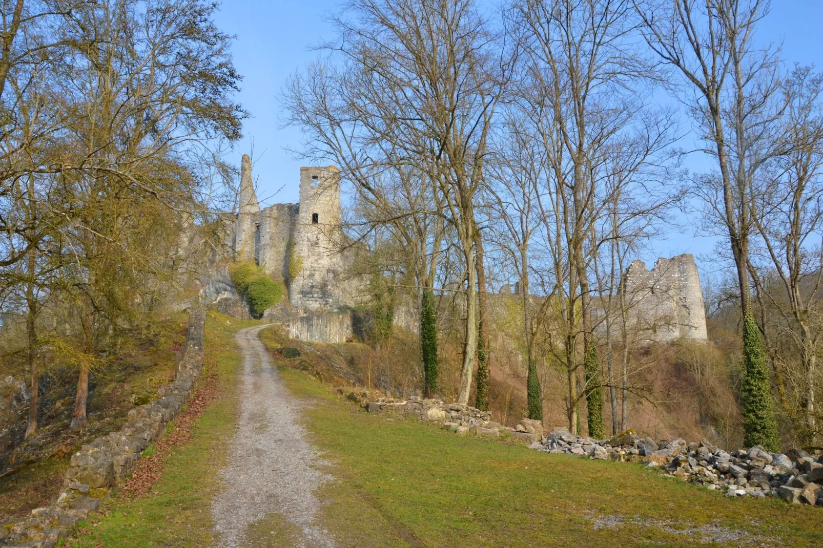 Vue sur le Chateau de Montaigle-Aussicht Sommer