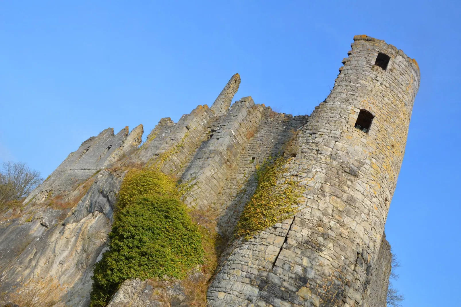 Vue sur le Chateau de Montaigle-Gebiete Sommer 1 km