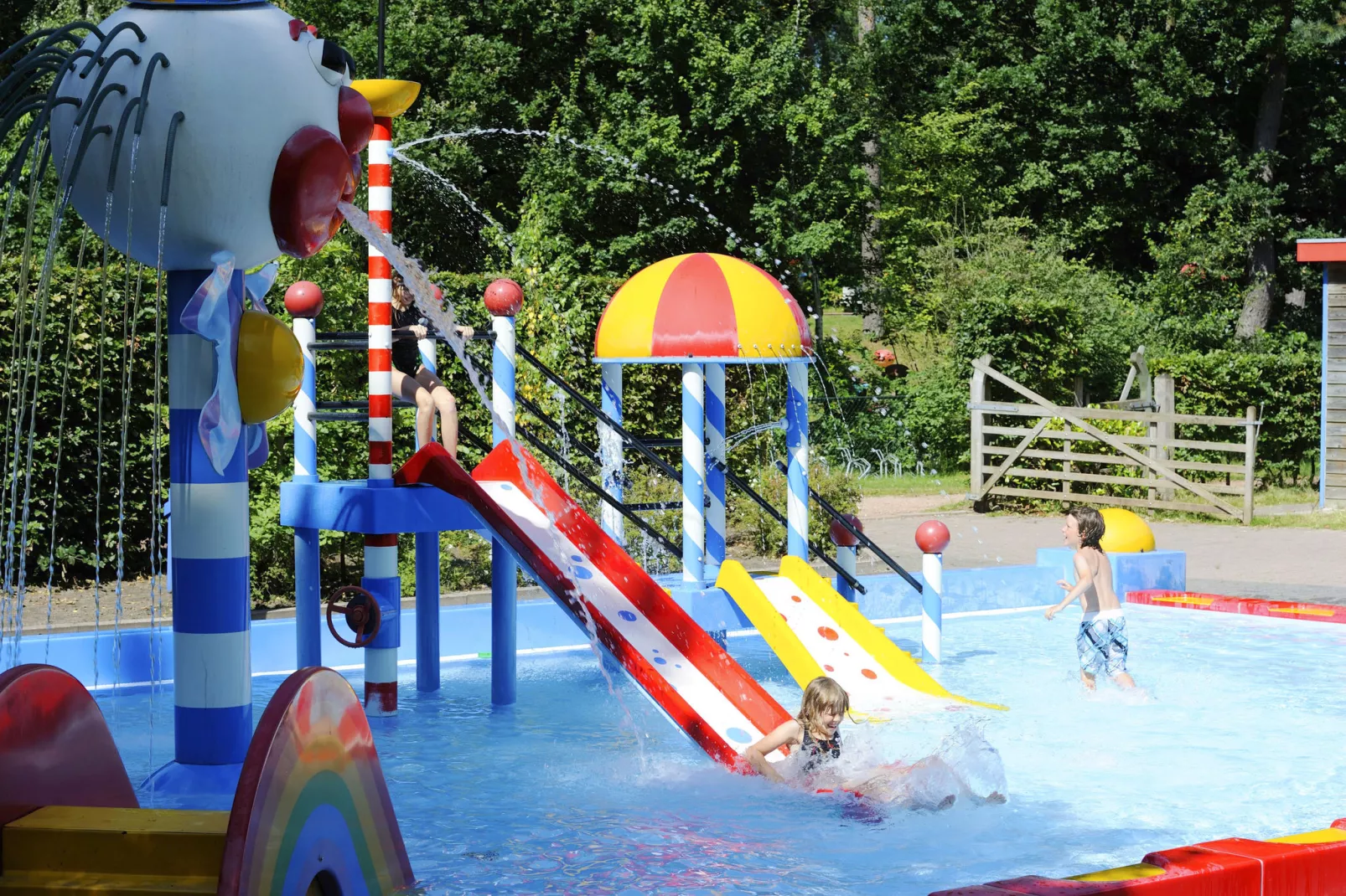 RCN Vakantiepark de Noordster 1-Park facilities