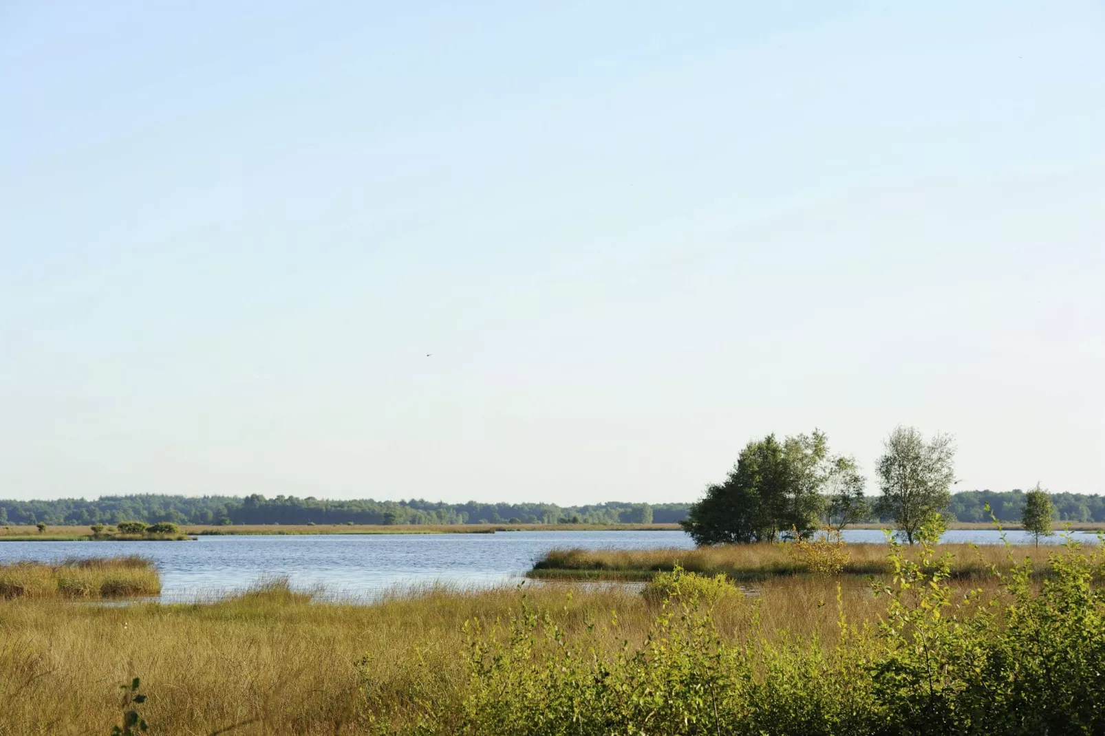 RCN Vakantiepark de Noordster 3-Areas summer 1km