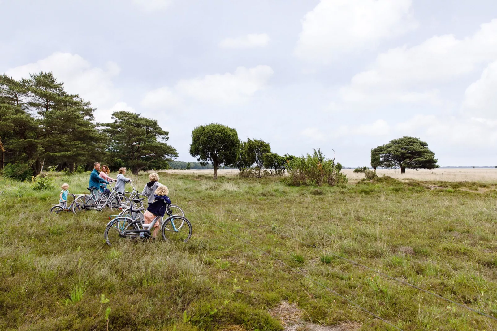 RCN Vakantiepark de Noordster 3-Areas summer 5km