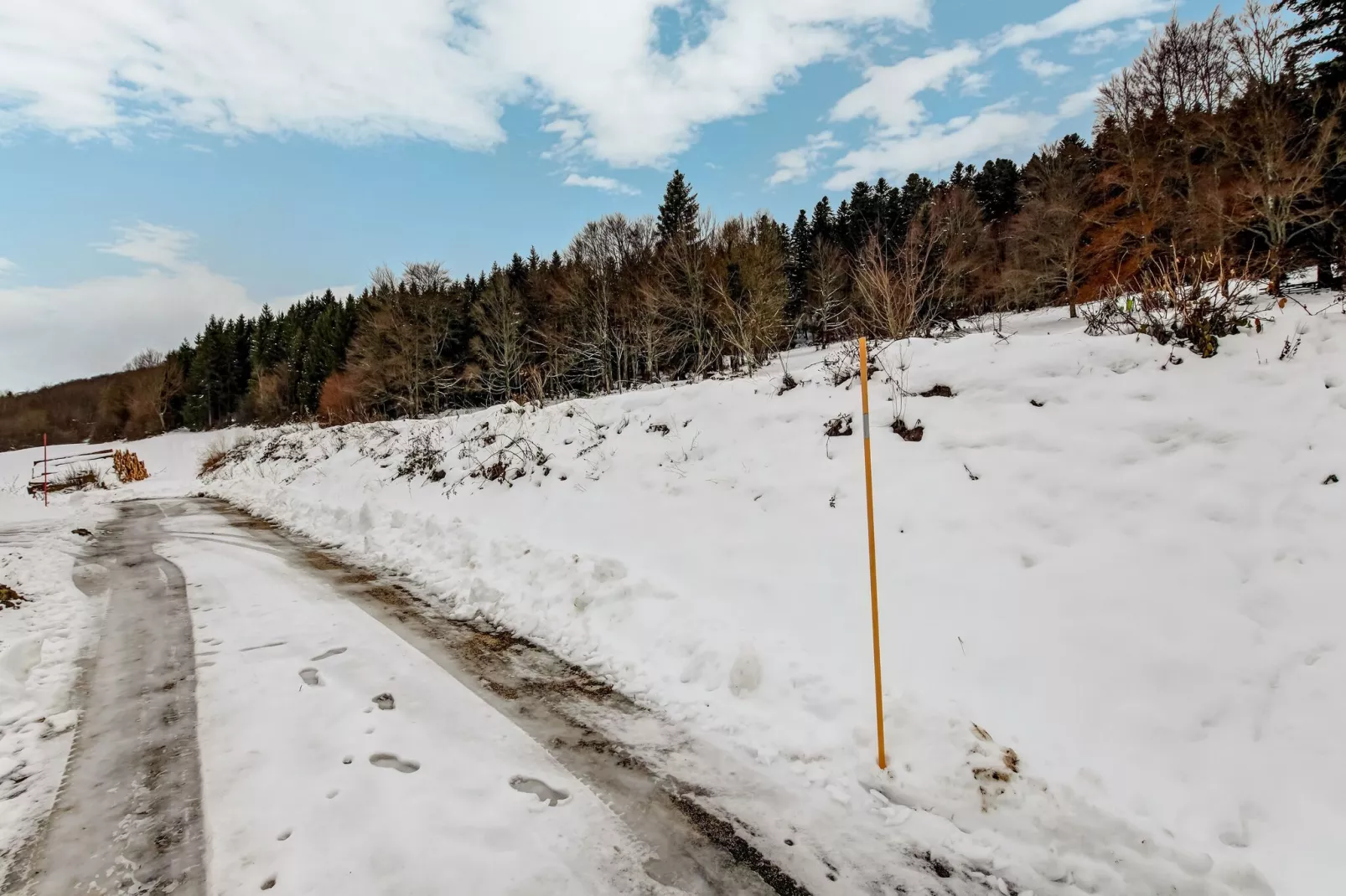 GITE A LA MONTAGNE BUGNY - Area within 5km in winter