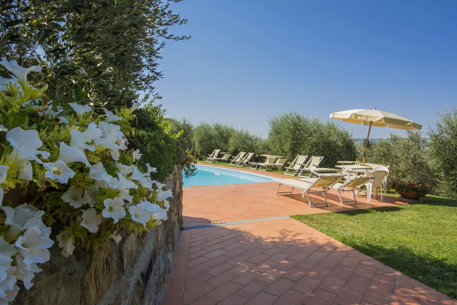 PiniOlmo-Pool