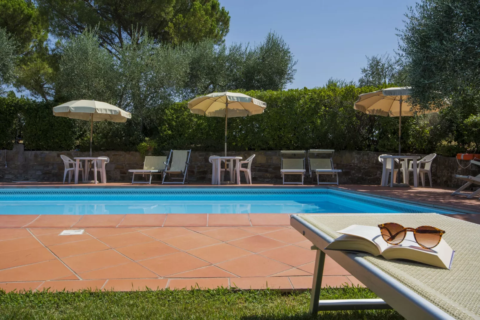 PiniOlmo-Pool