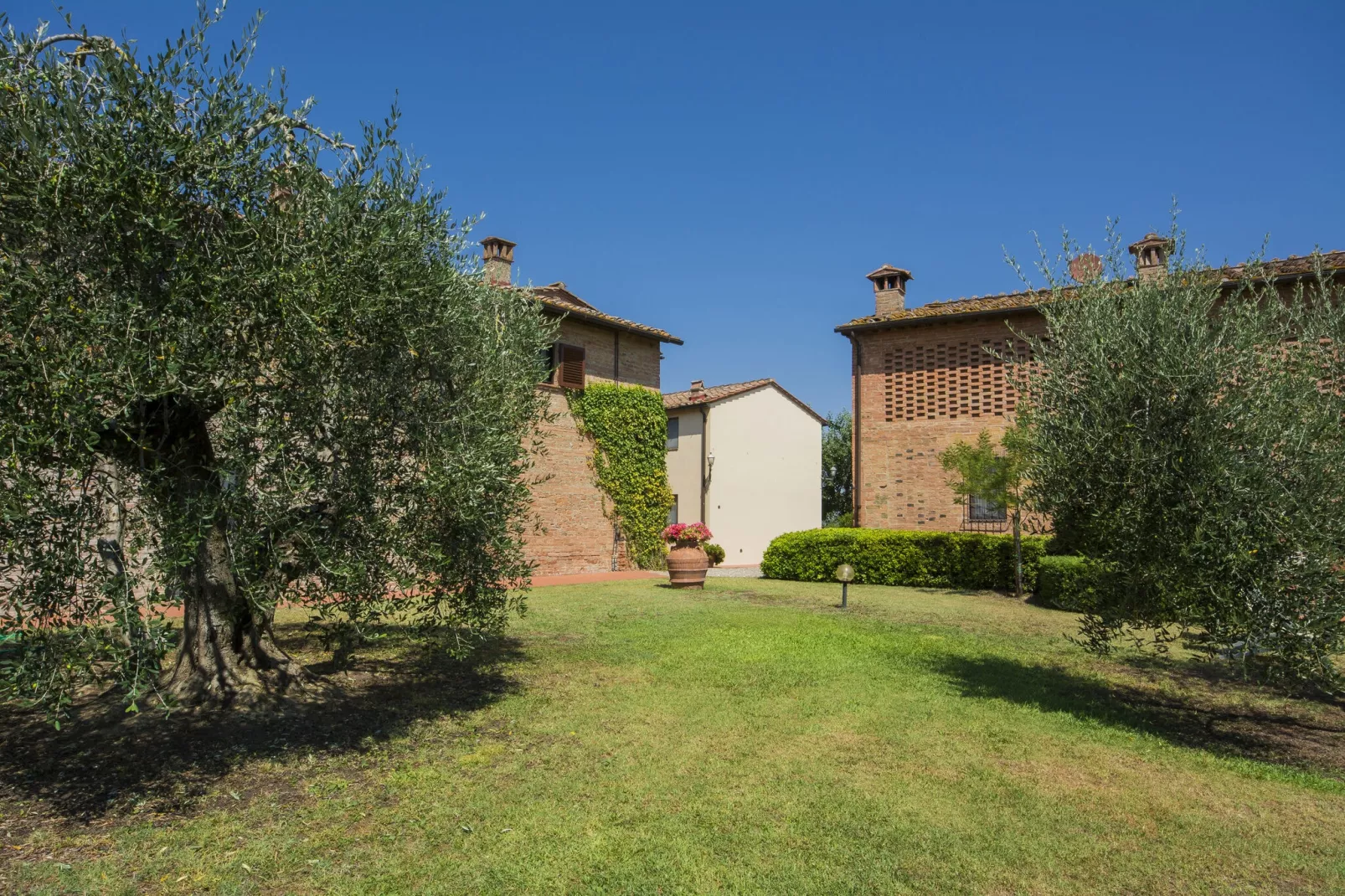 PiniOlmo-Gardens summer