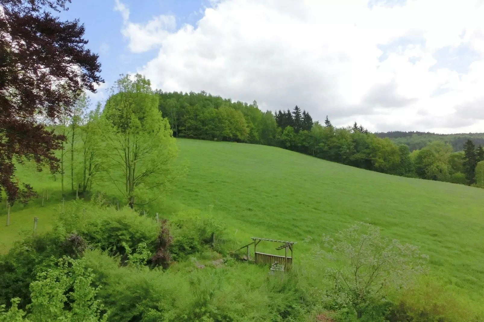 Villa im Erzgebirge-Areas within 1km in summer