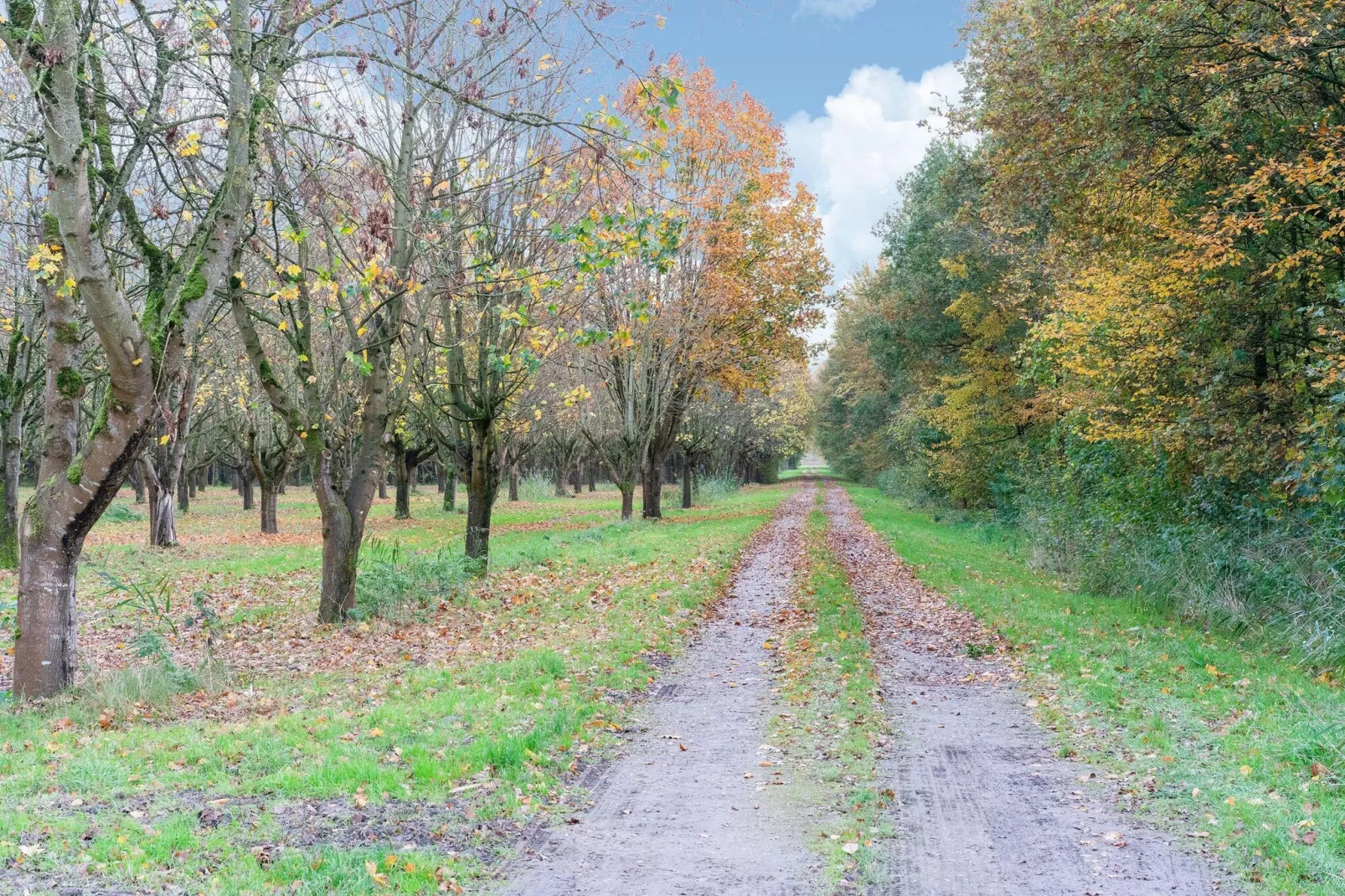 Horsterwold 23-Area winter 5km