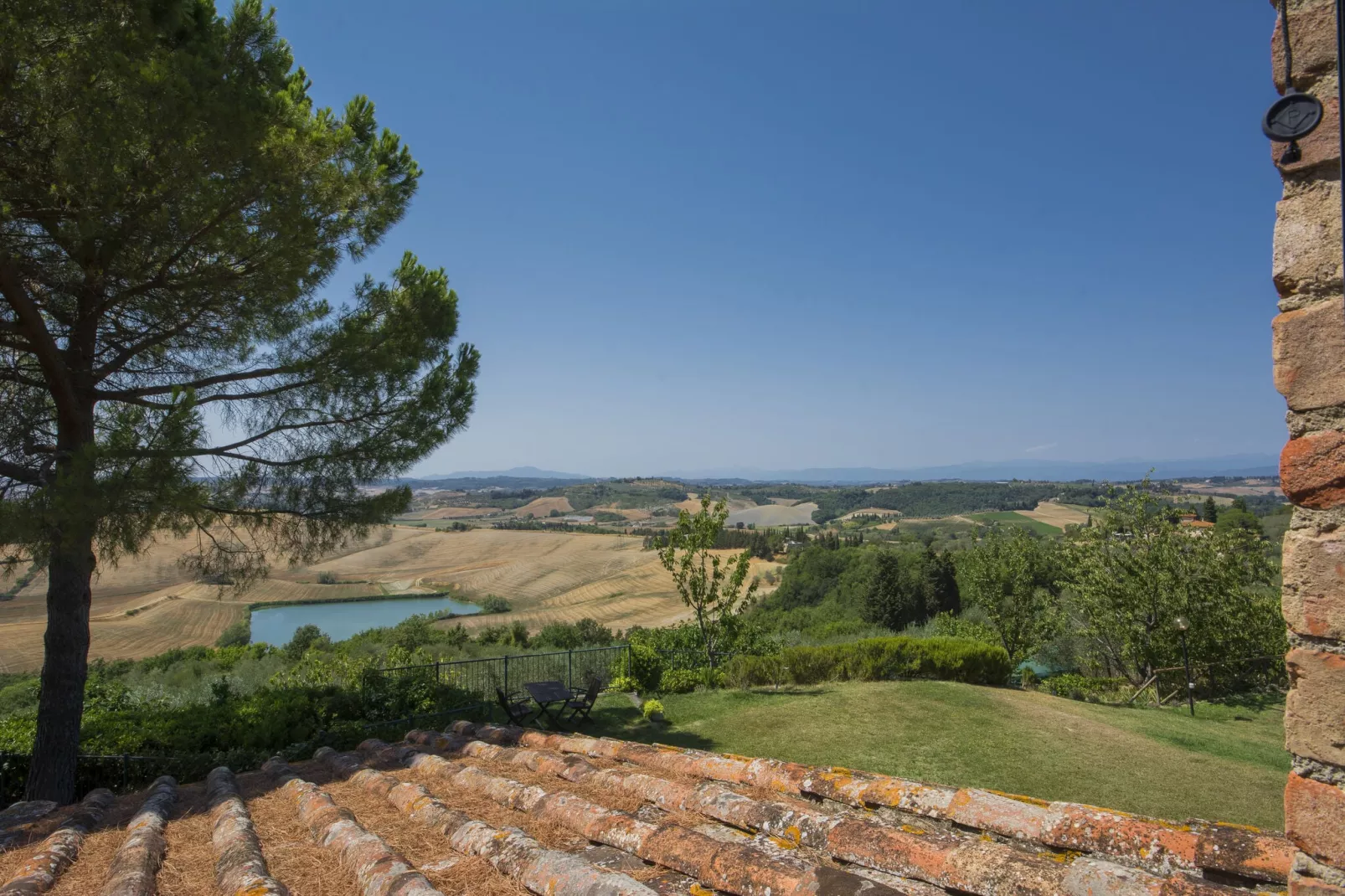 PiniOlmo-View summer