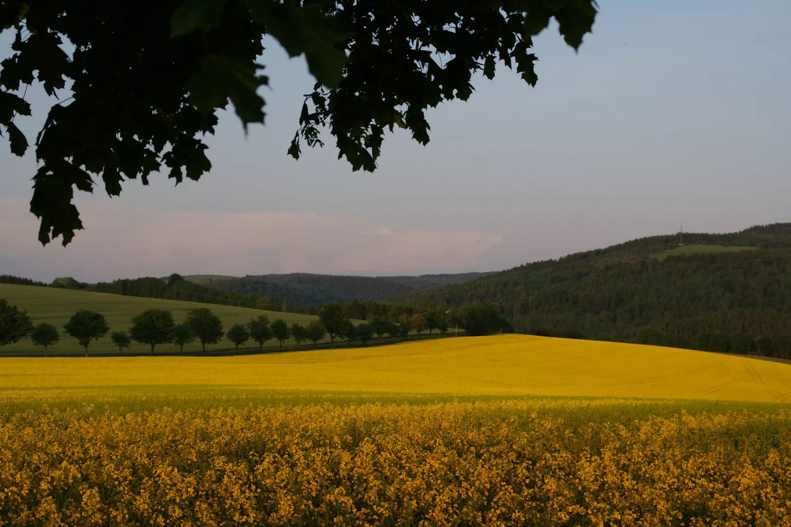 Ferienhaus Rechenberg Bienemuhle-Areas summer 5km