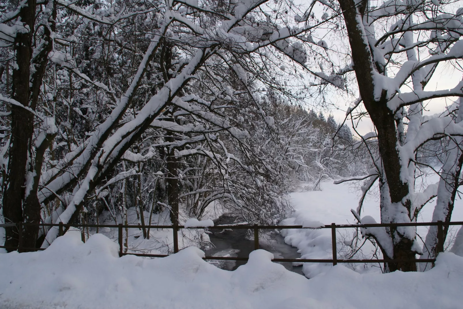 Ferienhaus Rechenberg Bienemuhle-Area winter 5km